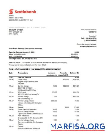 Downloadable Australia Scotiabank statement excel sample